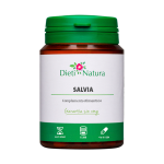 Salvia