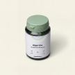 Algarroba