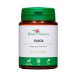 Chaga