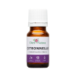 Aceite Esencial de Citronela