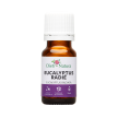 Aceite Esencial de Eucalipto radiata