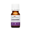 Aceite Esencial de Jengibre