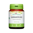 Harpagofito Bio