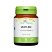 Salvia Bio