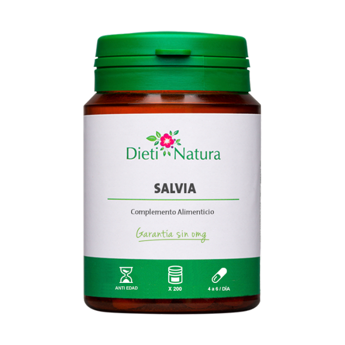 Salvia