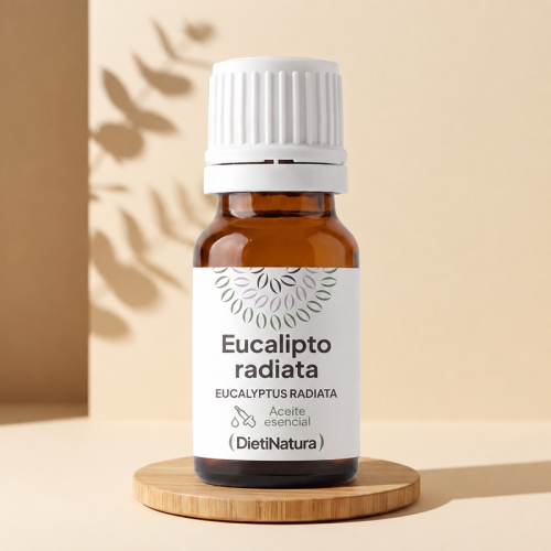 Aceite Esencial de Eucalipto radiata