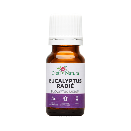 Aceite Esencial de Eucalipto radiata