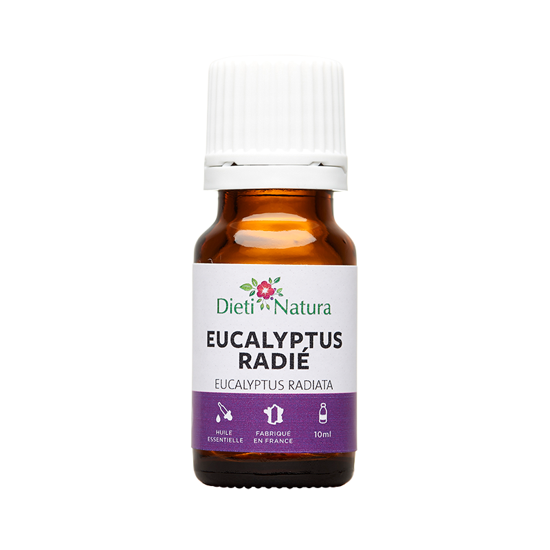 Aceite Esencial de Eucalipto radiata