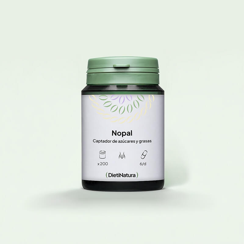 Nopal