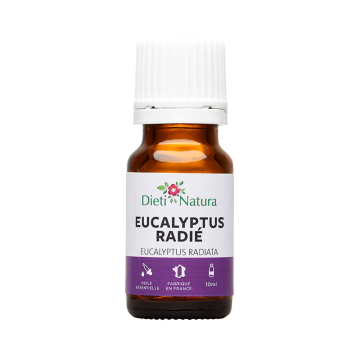 Aceite Esencial de Eucalipto radiata