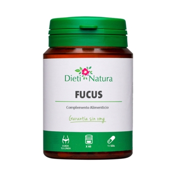 Fucus