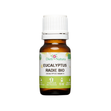 Aceite Esencial de Eucalipto radiata Bio Aceite Esencial de Eucalipto radiata Bio