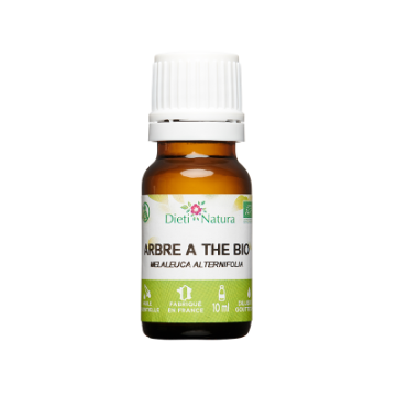 Aceite Esencial de Árbol del Té Bio Aceite Esencial de Árbol del Té Bio