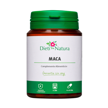 Maca