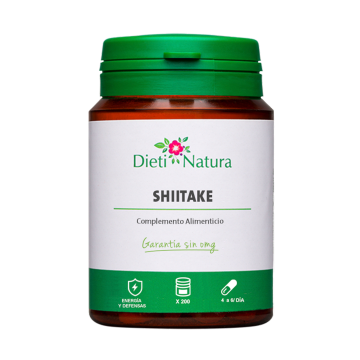 Shiitake