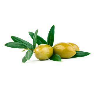 Olivo