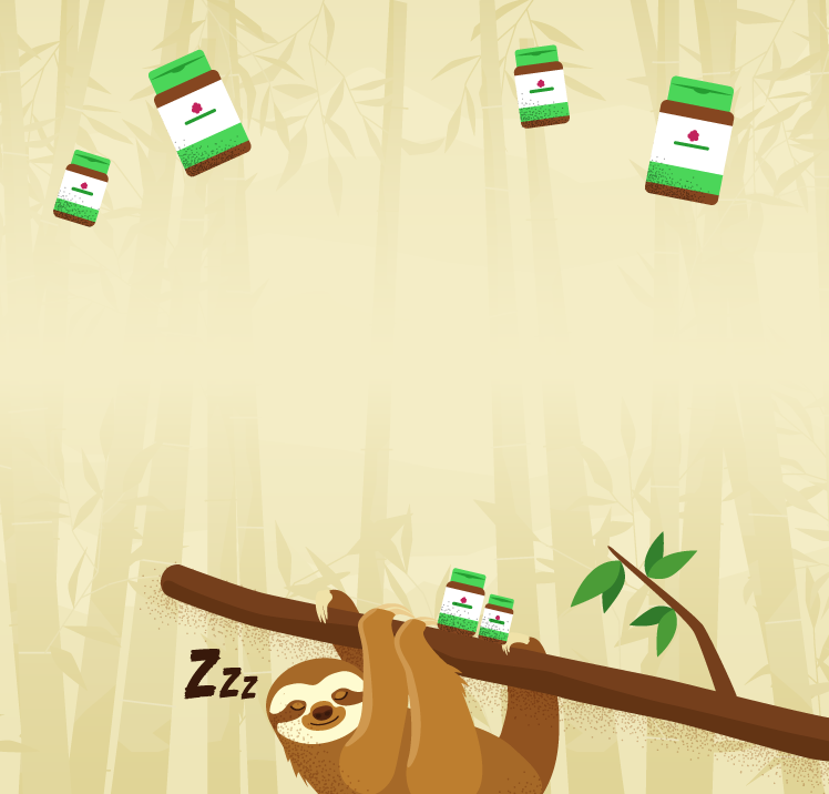 Confort y relajación