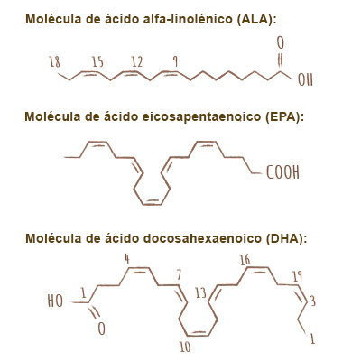 apparence_composition_omega_3