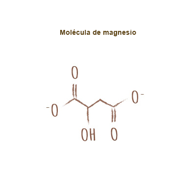 apariencia magnesio