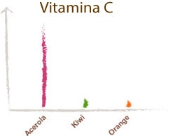 acerola vitamina c