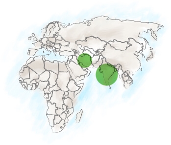 mapa psyllium