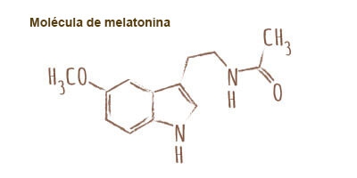 molecula melatonina