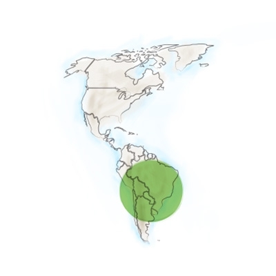 origen_geografico-del-maracuya