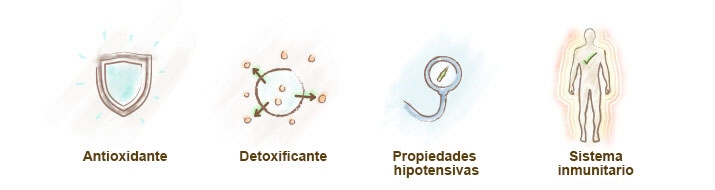 propiedades chlorella