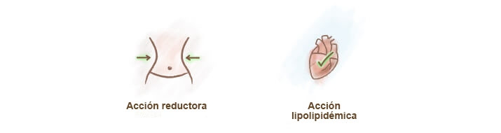 propiedades garcinia